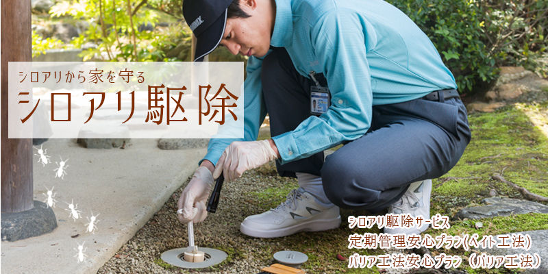 シロアリから家を守る シロアリ駆除